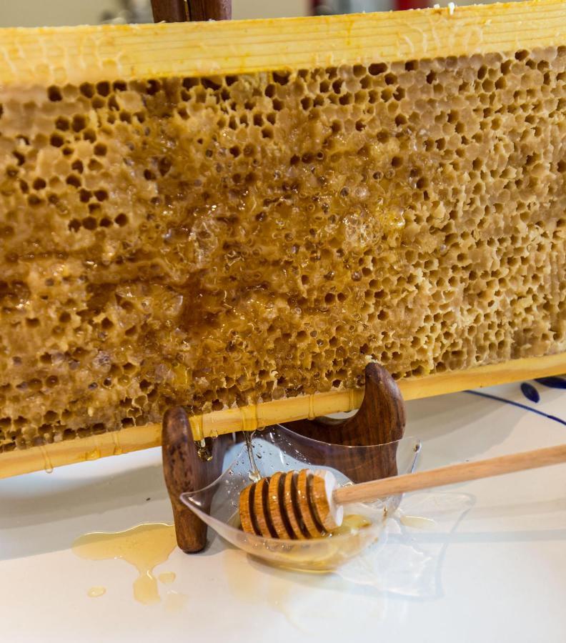 Honey Spa Ripacandida Exterior photo